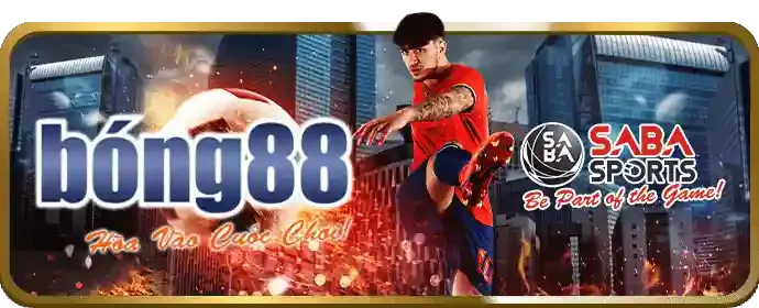 Chiến lược cá cược trực tiếp Win678